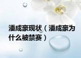潘成豪现状（潘成豪为什么被禁赛）