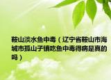 鞍山淡水鱼中毒（辽宁省鞍山市海城市孤山子镇吃鱼中毒得病是真的吗）