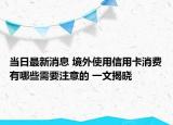 当日最新消息 境外使用信用卡消费有哪些需要注意的 一文揭晓