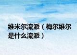 维米尔流派（梅尔维尔是什么流派）