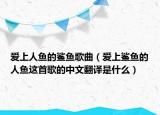 爱上人鱼的鲨鱼歌曲（爱上鲨鱼的人鱼这首歌的中文翻译是什么）