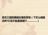 洛克王国的黑暗边缘的宠物（下怎么碰魔法阵?它说不能直接碰汗..............）