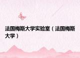 法国梅斯大学实验室（法国梅斯大学）
