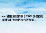 csol强化武器步骤（CSOL武器强化有什么好的技巧或方法没有）