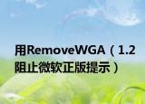 用RemoveWGA（1.2阻止微软正版提示）