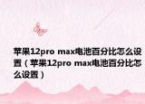 苹果12pro max电池百分比怎么设置（苹果12pro max电池百分比怎么设置）