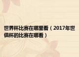 世界杯比赛在哪里看（2017年世俱杯的比赛在哪看）