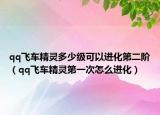 qq飞车精灵多少级可以进化第二阶（qq飞车精灵第一次怎么进化）