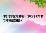 QQ飞车紫电神驹（求QQ飞车紫电神驹的数据）