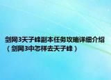 剑网3天子峰副本任务攻略详细介绍（剑网3中怎样去天子峰）
