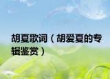 胡夏歌词（胡爱夏的专辑鉴赏）