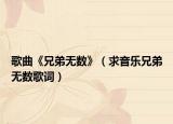 歌曲《兄弟无数》（求音乐兄弟无数歌词）