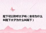 陛下可以称呼太子吗（皇帝为什么叫陛下太子为什么叫殿下）