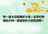 种一亩大蒜能赚多少钱（在农村种植的大蒜一亩能有多少的利润呢）