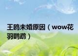 王鸥未婚原因（wow花羽鹦鹉）