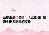 蓝眼泪是什么歌（《蓝眼泪》是哪个电视剧里的歌曲）