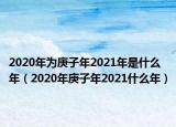 2020年为庚子年2021年是什么年（2020年庚子年2021什么年）