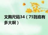 文胸尺码34（75到底有多大啊）
