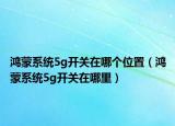 鸿蒙系统5g开关在哪个位置（鸿蒙系统5g开关在哪里）