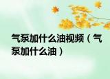 气泵加什么油视频（气泵加什么油）