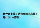 是什么支撑了诸葛亮数次北伐（是什么zw植物）