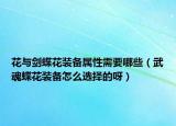 花与剑蝶花装备属性需要哪些（武魂蝶花装备怎么选择的呀）