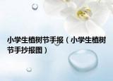 小学生植树节手报（小学生植树节手抄报图）