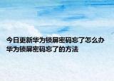 今日更新华为锁屏密码忘了怎么办 华为锁屏密码忘了的方法