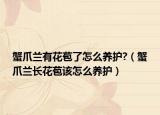 蟹爪兰有花苞了怎么养护?（蟹爪兰长花苞该怎么养护）