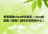 星星歌曲vitas中文谐音（vitas的歌曲《星星》的中文意思是什么）