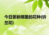 今日更新哪里的花种(铃兰花)