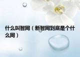 什么叫智网（新智网到底是个什么网）
