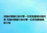 河南村镇银行垫付第一日系统拥堵详细内容 河南村镇银行垫付第一日系统拥堵具体介绍