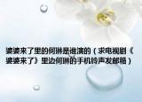 婆婆来了里的何琳是谁演的（求电视剧《婆婆来了》里边何琳的手机铃声发邮箱）
