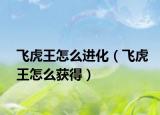 飞虎王怎么进化（飞虎王怎么获得）
