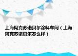 上海阿克苏诺贝尔涂料车间（上海阿克苏诺贝尔怎么样）
