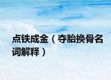 点铁成金（夺胎换骨名词解释）