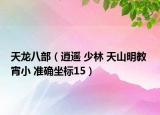 天龙八部（逍遥 少林 天山明教 宵小 准确坐标15）