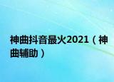 神曲抖音最火2021（神曲辅助）