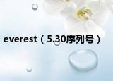everest（5.30序列号）