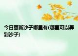 今日更新沙子哪里有(哪里可以弄到沙子)