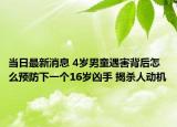 当日最新消息 4岁男童遇害背后怎么预防下一个16岁凶手 揭杀人动机