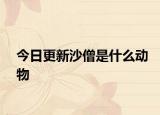 今日更新沙僧是什么动物