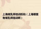 上海催乳师培训机构（上海哪里有催乳师培训啊）