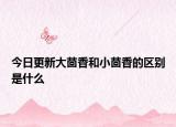 今日更新大茴香和小茴香的区别是什么