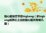 强心脏综艺节目bigbang（求bigbang成员们上过的强心脏共有哪几期）