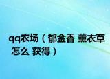 qq农场（郁金香 薰衣草 怎么 获得）