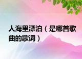 人海里漂泊（是哪首歌曲的歌词）