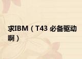 求IBM（T43 必备驱动啊）