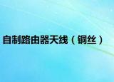 自制路由器天线（铜丝）